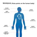 용인대 합기도 이미지