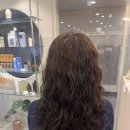 데일리수 이미지