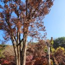 한국33관음성지 제3호 화성 용주사 순례(26th) 이미지