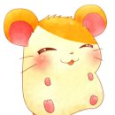호도별 이미지