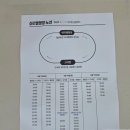 디엠지 | 2025 디엠지피스트레인(DMZ) 1DAY 후기(캠핑, 맛집)