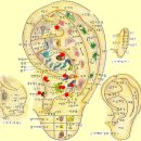 동방한의원 | [내돈내산] 소화 안 될 때 붙이는 동방 티침(이침) 사용법,지압점 &amp; 3년째 재구매 후기 및 가격