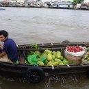 ◈ 베트남의 메콩강 투어와 생활상들◈ 이미지