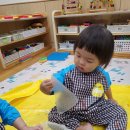 라이스콩콩 이미지