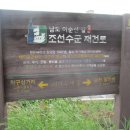 면민운동장 이미지