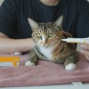 새로나약국 이미지