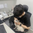 포천동물병원 이미지