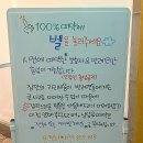 멍블리스 이미지