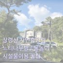 느티나무집 | 충북 옥천 장령산 자연 휴양림 숲속의집 느티나무 숙박 후기 / +아기와 함께 물놀이 하기 좋은 곳 (꿀팁...