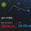 살아돌아온 2025 쉬엄쉬엄 한강 3종 축제 상급자 후기
