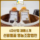 6차산업 제품 소개 :: 경북 영주 선비벌꿀 영농조합법인
