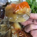 부자젓갈