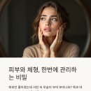 피부체형관리