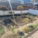 미국가주 우육면 이미지