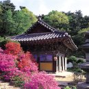 석남사 - 1101 | 석남사
