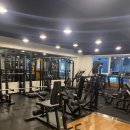 고 베어 짐 이미지