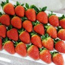 삼대 제2농장 이미지