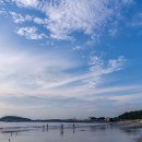 보령베스트 이미지