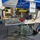 신기새마을영농조합법인 이미지