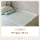 믿음기업(화순세탁공장) | 여름엔 이거 없이 못 자요! 꾸망 듀라론 냉감패드로 한여름에도 꿀잠 보장