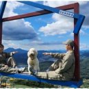 단양하늘꿈 이미지