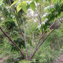 천공농장 이미지