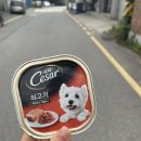 역말주막