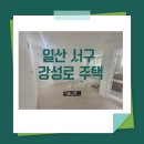 강성로 이미지