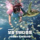 [필리핀/보홀]발리카삭 한바다호핑 예약할래말래!? 내돈내산 호핑투어 후기