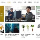 브이팜 이미지