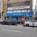 이불아르페지오 이미지
