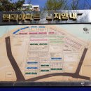 압구정-214 이미지