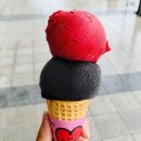 르배 티스토리