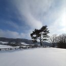 선 목장 이미지