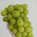 파주청과(과일) 이미지