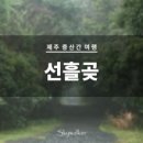 선흘 스카이 이미지