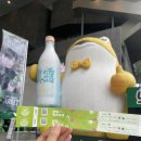 센텀리얼 이미지