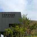 파라디 이미지