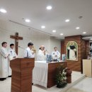 사부 성 도미니코 대축일 미사 이미지