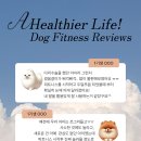 모두모여댕댕! 열심히 운동하는 모댕 원아들 (대구 독피트니스)