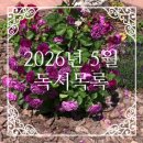 2026년 5월 독서목록(28권, 2025년 누적 91권)