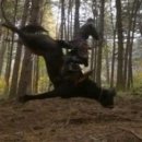 KBS공인중개사사무소 이미지