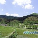 성지 이미지