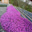 교차로공인중개사사무소 이미지