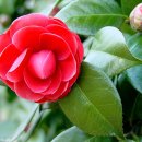 영원을위하여 이미지