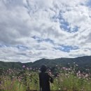 홍천힐링하우스 | 홍천 알파카월드 할인받아 다녀온 후기