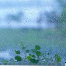 김희갑악단 이미지