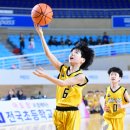 시도 이미지