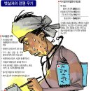 팔·다리 가는 윗배 볼록형…열량 하루 1500kcal로 제한 이미지