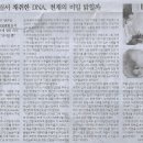 바둑나라